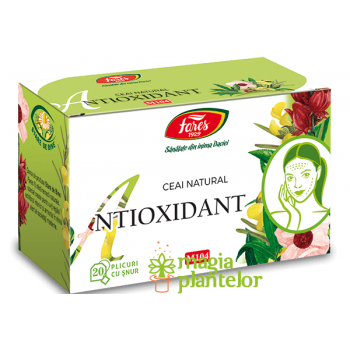 Ceai antioxidant 20 DZ – Fares