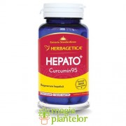 Hepato Curcumin95 - 60 CPS - Herbagetica