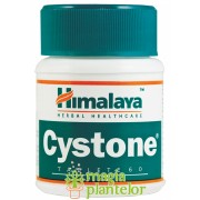 Cystone 60 TB - Himalaya