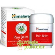 Pain Balm 50 ML - Himalaya