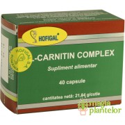 L-Carnitin Complex 60 CPS - Hofigal