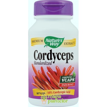 Cordyceps 60 CPS - NATURE'S WAY - Secom