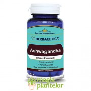 ASHWAGANDHA 60 CPS - Herbagetica