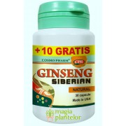Ginseng siberian 30+10 CPS - Cosmo Pharm